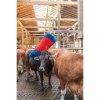 drbadlo happycow free 3