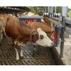 drbadlo eurofarm 3