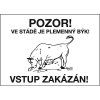 Pozor ! Ve stádě je plemenný býk