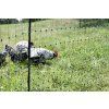 Síť NEVODIVÁ pro drůbež 106 cm, 50 m, dvojitá špička