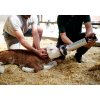 resuscitator bron 2
