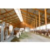 Halová LED světlo 100 W, 13 500 lm, s možností regulace a